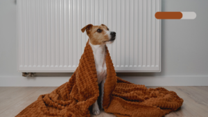 A Guide to Identifying Inefficiencies and Optimising Home Heating